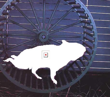 hamster_escape1.jpg hamster_escape1.jpg