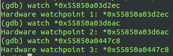 gdb-watchpoints-ammo.png